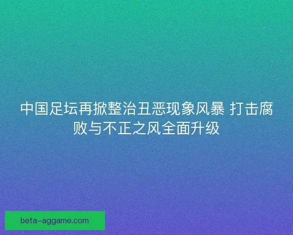 中国足坛再掀整治丑恶现象风暴 打击腐败与不正之风全面升级